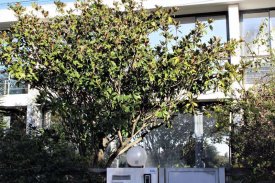 BVP-TD-766 | Thumbnail | 30 | Bien vivre au Portugal