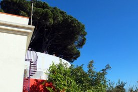 BVP-FaC-774 | Thumbnail | 11 | Bien vivre au Portugal